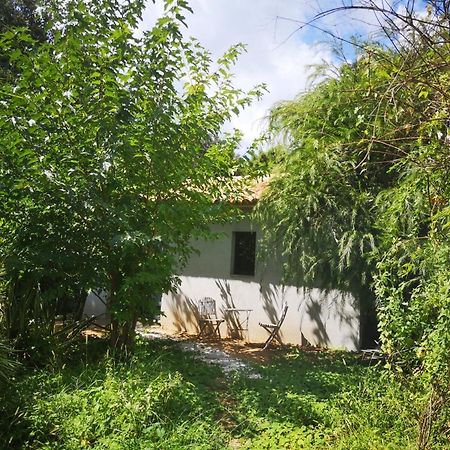 Villa Griseor Πόρτο Βέκιο Εξωτερικό φωτογραφία