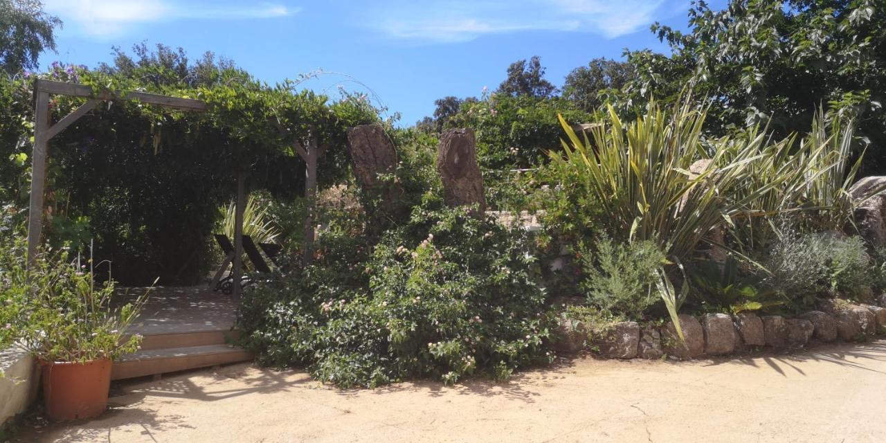 Villa Griseor Πόρτο Βέκιο Εξωτερικό φωτογραφία