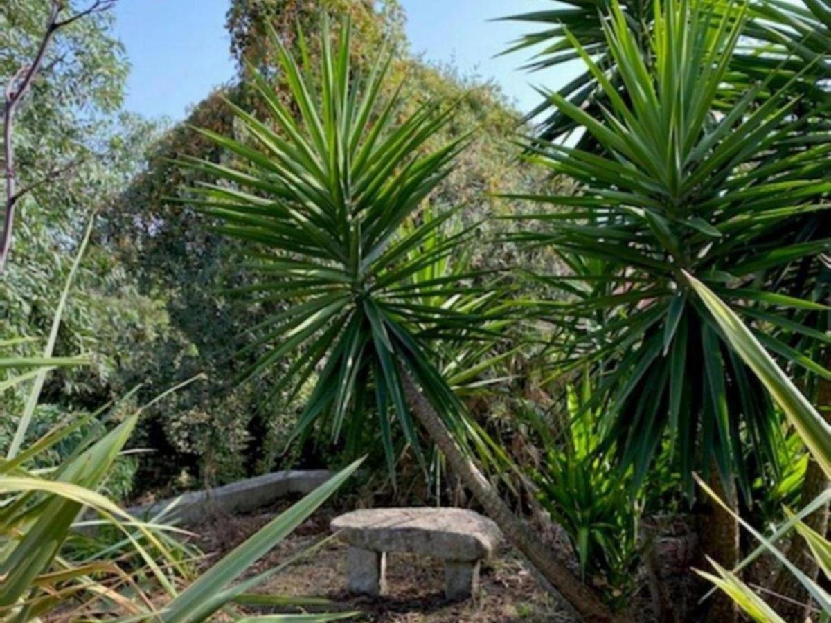 Villa Griseor Πόρτο Βέκιο Εξωτερικό φωτογραφία