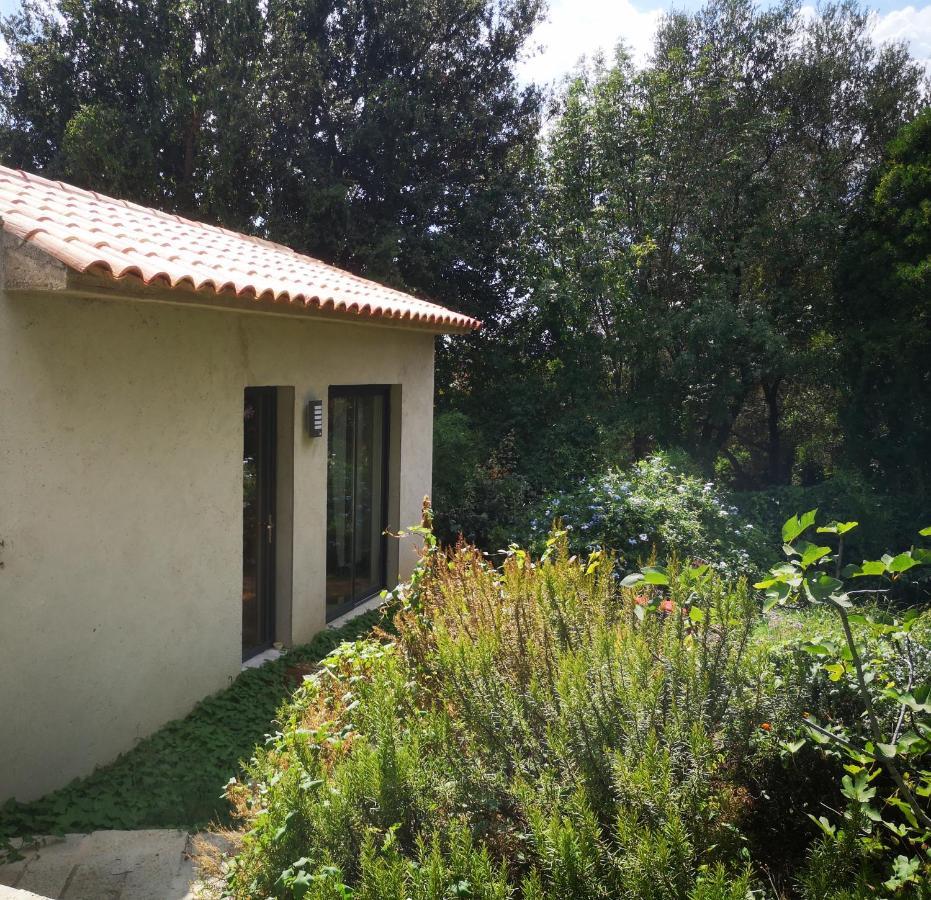 Villa Griseor Πόρτο Βέκιο Εξωτερικό φωτογραφία